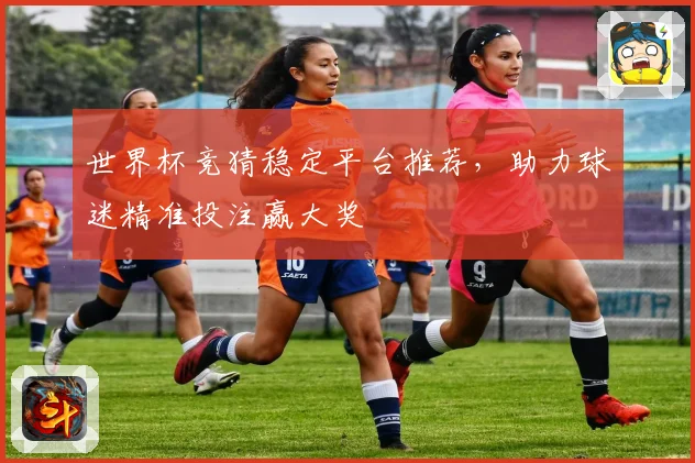 世界杯竞猜稳定平台推荐，助力球迷精准投注赢大奖