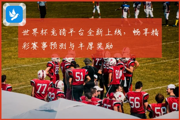 世界杯竞猜平台全新上线，畅享精彩赛事预测与丰厚奖励