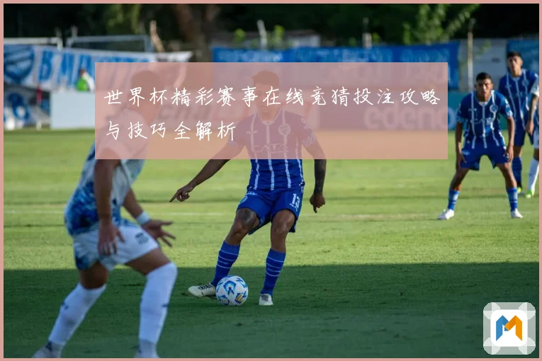 世界杯精彩赛事在线竞猜投注攻略与技巧全解析