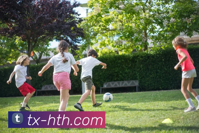 华体会最新官网地址发布全面解析，轻松访问享受极致体育体验